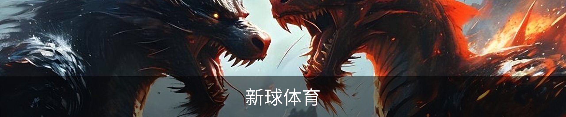 新球体育